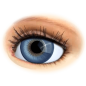 Preview: iris rim eyes