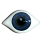 Preview: Reborn iris rim eyes