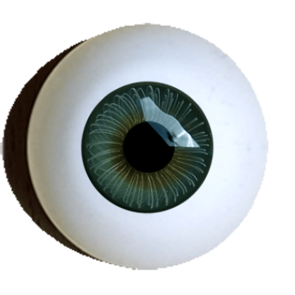 iris rim eyes