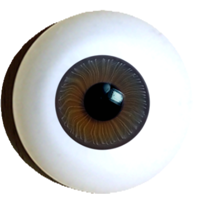 Reborn iris muscle eye
