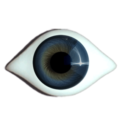 Reborn  iris rim eyes