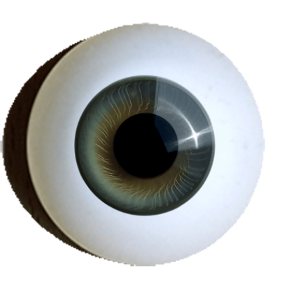 reborn iris rim eyes