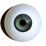 Dark-rim-eyes-standart-green