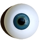 Iris-muscle-eyes-superior-turquoise offer