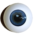 Reborn-iris-muscle-eyes-standart-dark-blue.