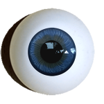 Reborn-iris-muscle-eyes-superior-dark-blue offer