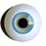 Reborn-iris-muscle-eyes-superior-ice-blue.